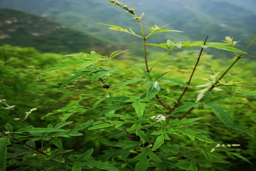豪运国际·(中国)官方网站