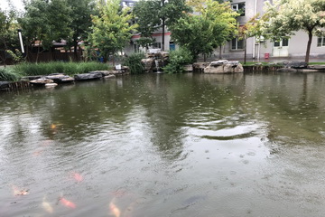 豪运国际·(中国)官方网站