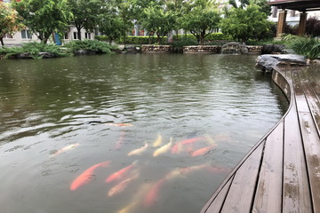豪运国际·(中国)官方网站