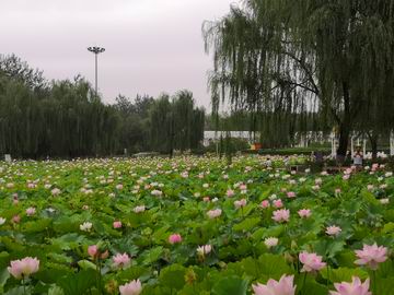豪运国际·(中国)官方网站