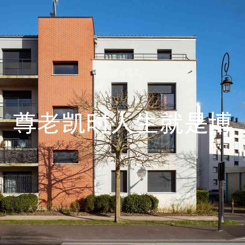 尊老凯时人生就是博