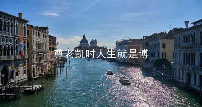 尊老凯时人生就是博