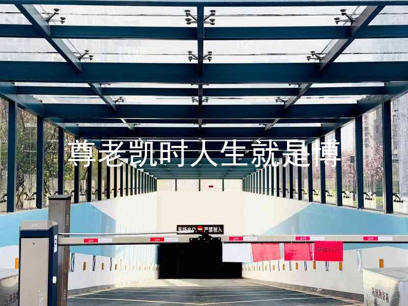 尊老凯时人生就是博