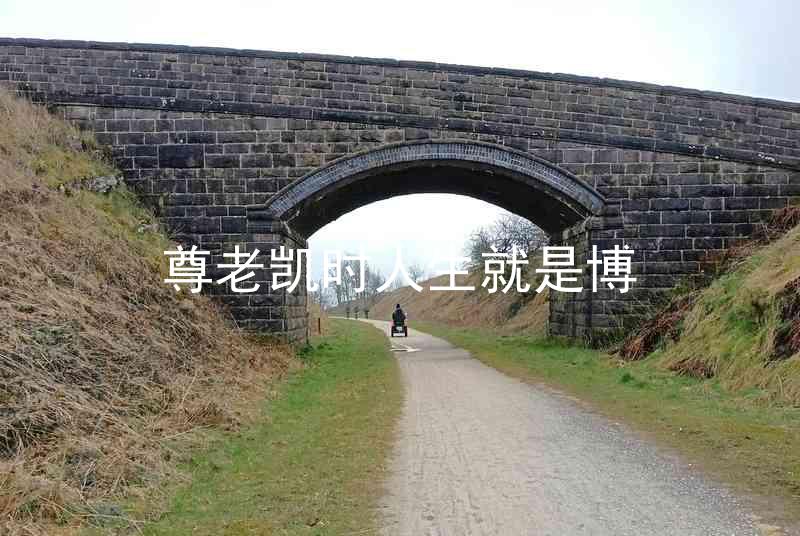 尊老凯时人生就是博
