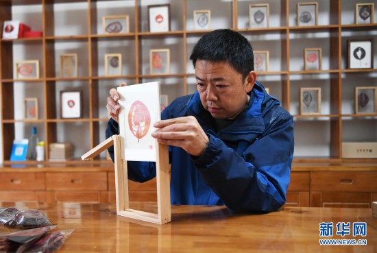 这个驻村书记，，，，带着村民“点叶