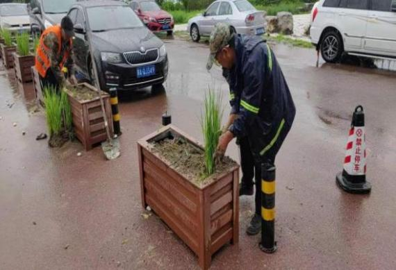 喜报！豪运国际控股所属北京天房绿茵园林绿化工程有限公司荣获2022年“后沙峪杯”顺义区第三届新时代文明实践自愿效劳项目大赛三等奖