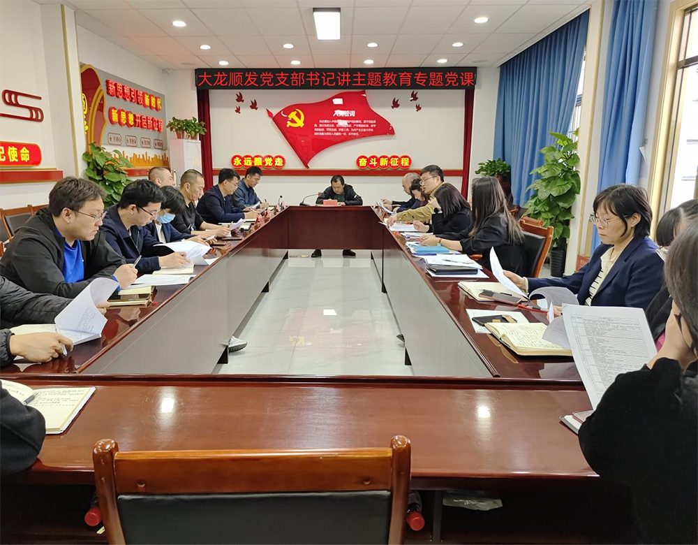 豪运国际顺发党支部书记讲主题教育专题党课