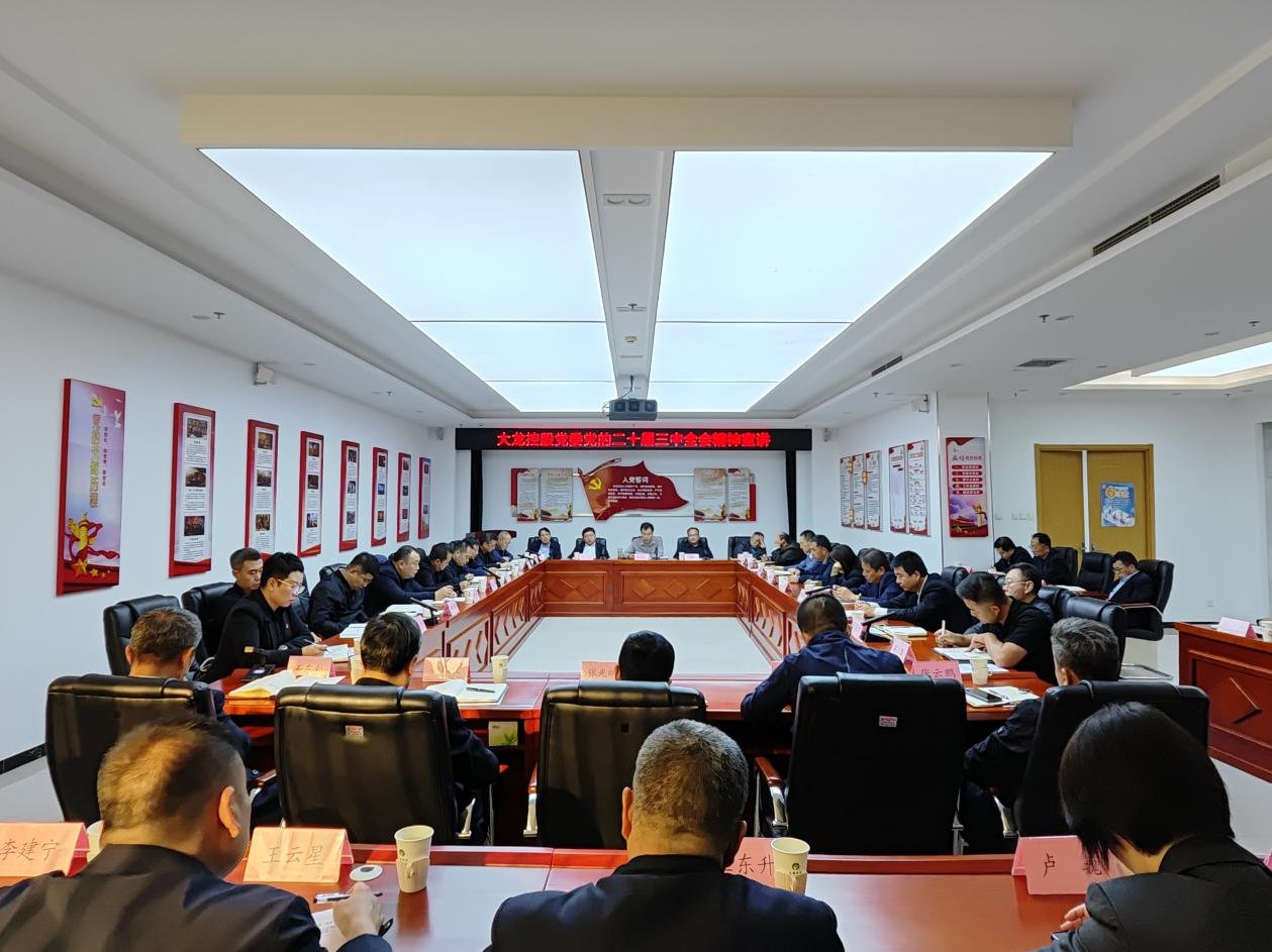 豪运国际控股党委开展党的二十届三中全会精神宣讲