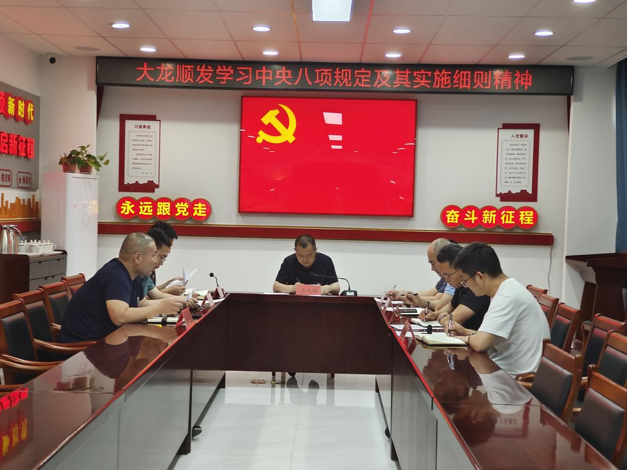 豪运国际顺发党支部开展深入贯彻中央八项划定精神学习教育专题学习